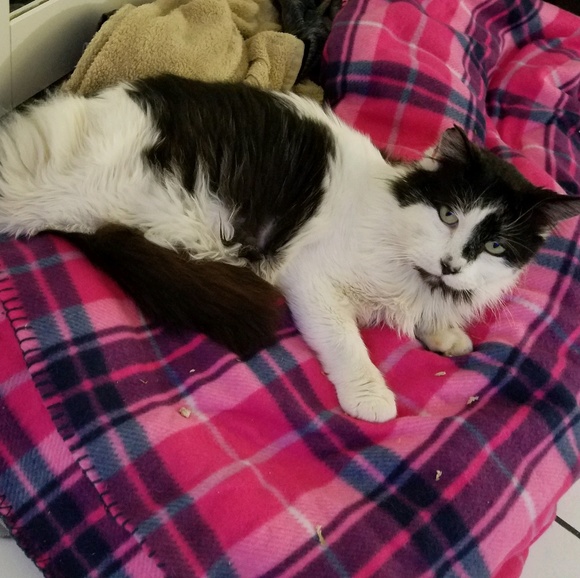 Meet your Posher, Araceli - Picture 1 of 1